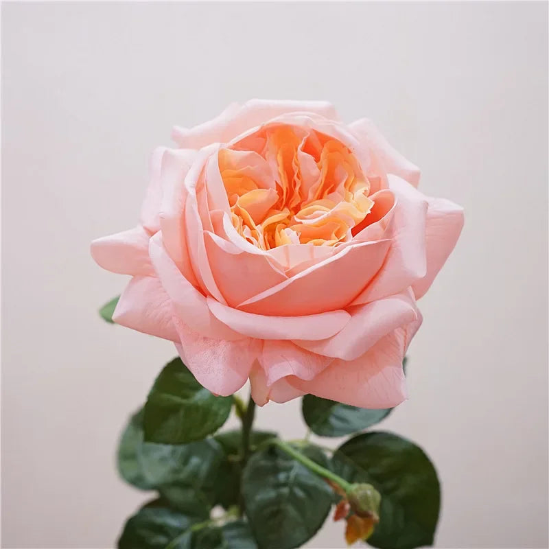 branche de rose artificielle pour un cadeau romantique et décoratif - vue 6 sur 12