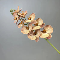 fleurs artificielles orchidée papillon en coton et silicone décoratives