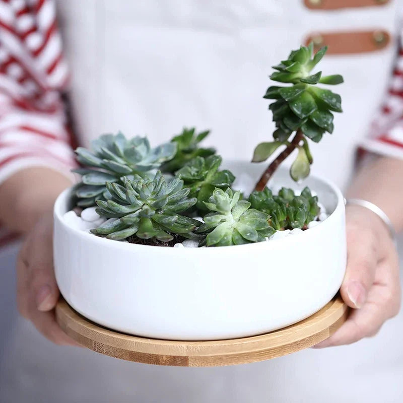pot en céramique pour plantes succulentes avec plateau en bambou - vue 1 sur 7