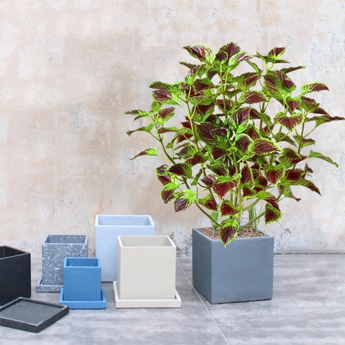 plantes artificielles d'eucalyptus et menthe tropicale pour décoration intérieur - vue 2 sur 8