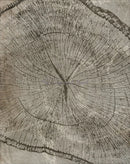 affiches abstraites sur les anneaux des arbres pour décoration