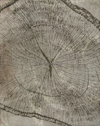 affiches abstraites sur les anneaux des arbres pour décoration