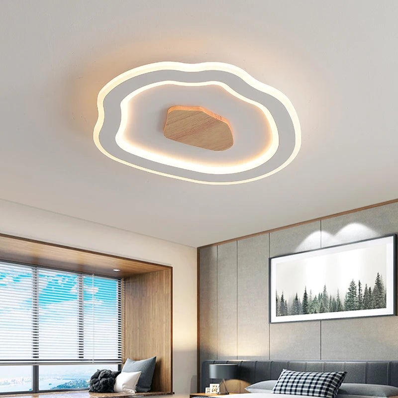 plafonniers nordiques modernes simples à led créatifs - vue 5 sur 12
