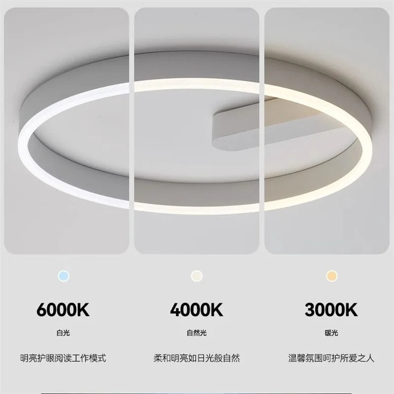 2024 LED ceiling light creative new style bedroom light, living room lighting, modern and simple black white bedroom light - vue 5 sur 7