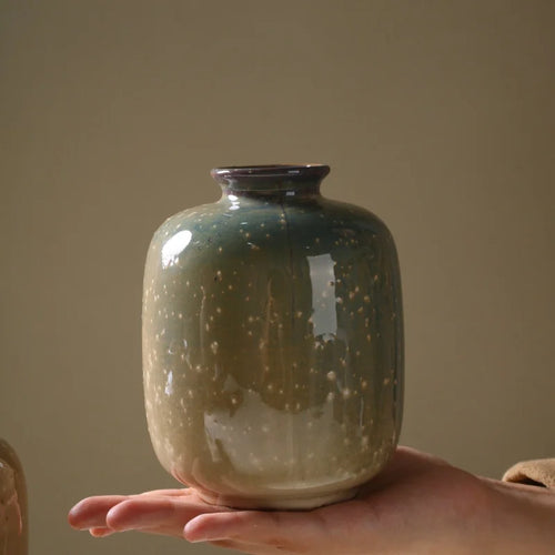 vase en céramique décoratif pour fleurs et plantes - vue 5 sur 8