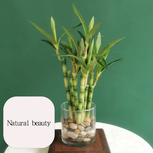 plantes artificielles en bambou pour décoration intérieure et extérieure - vue 5 sur 13