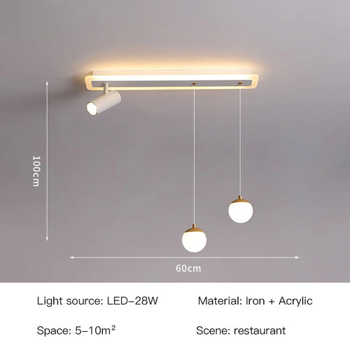 Plafonnier led acrylique projecteur spots