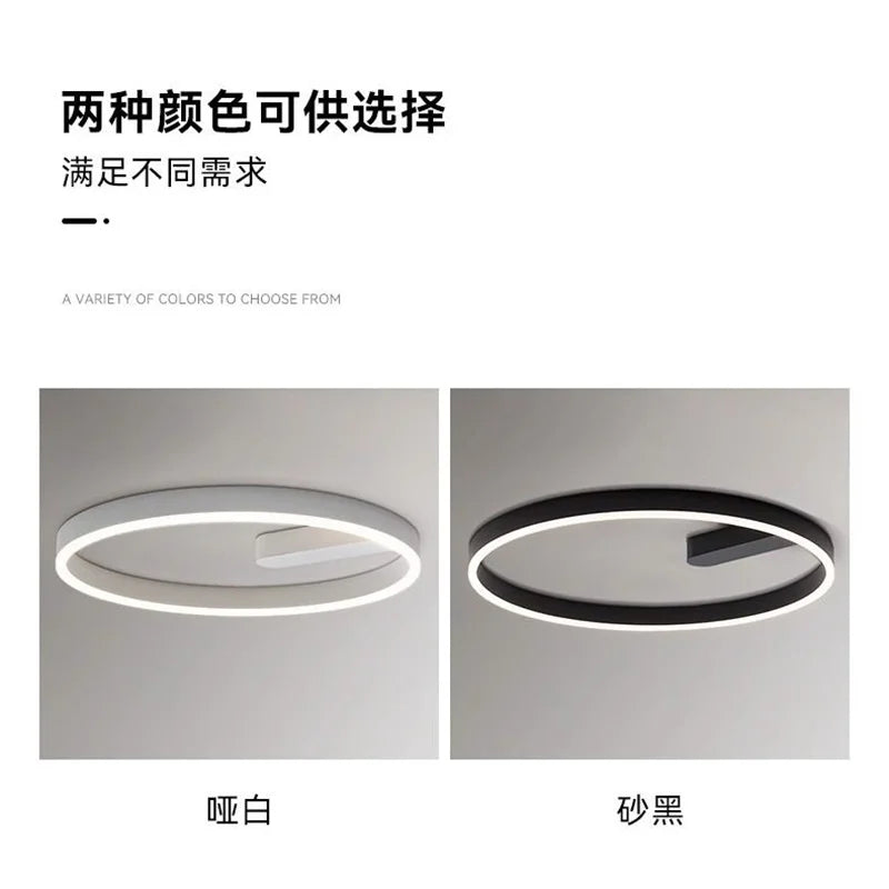 2024 LED ceiling light creative new style bedroom light, living room lighting, modern and simple black white bedroom light - vue 4 sur 7