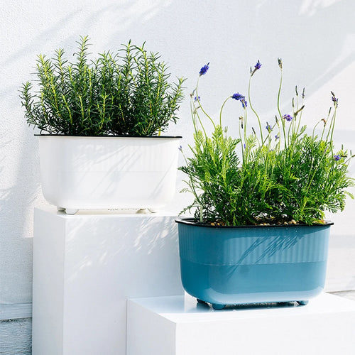 pot de fleurs en plastique pour cultiver des légumes - vue 2 sur 9