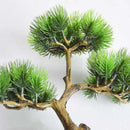 plante en pot de style chinois pour décoration intérieure