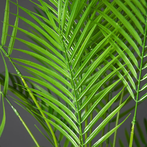 plante de palmier tropical artificiel pour décoration intérieure et extérieure - vue 4 sur 6