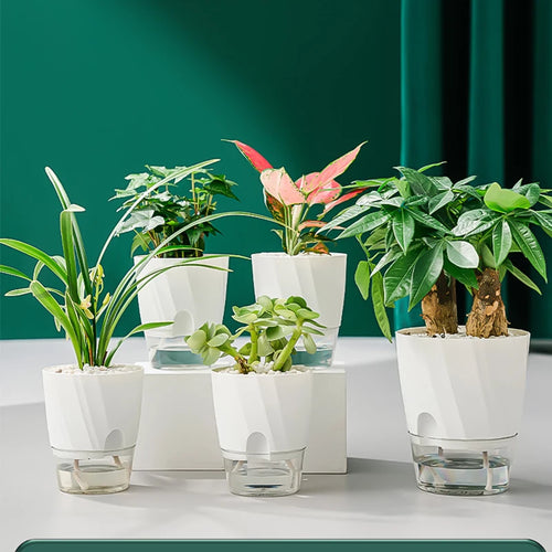 pot de fleurs automatique pour plantes d'intérieur hydroponiques - vue 6 sur 6