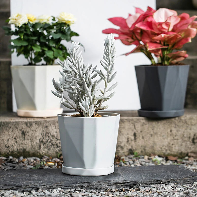 pot de fleurs en résine nordique pour plantes succulentes - vue 2 sur 9