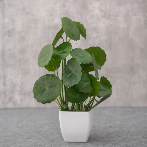plante bonsaï artificielle en pot pour décoration intérieure - vue 10 sur 15