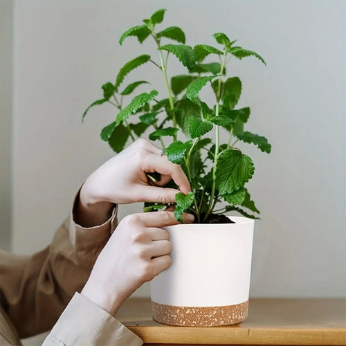 lot de 4 pots de fleurs ronds avec fond amovible et respirant - vue 3 sur 11