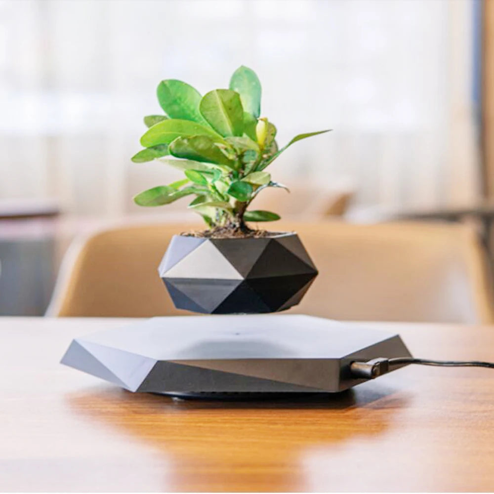 pot de bonsaï à lévitation magnétique pour décoration spéciale - vue 10 sur 10