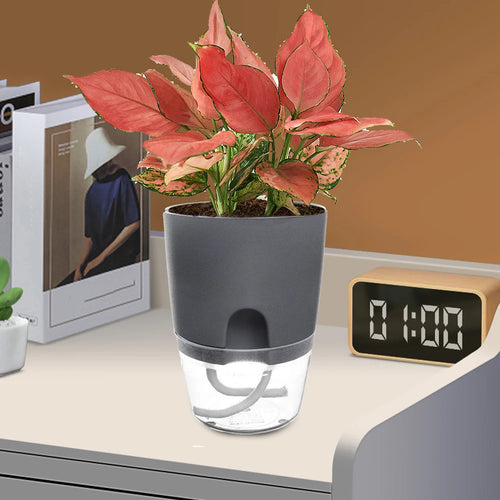 pot de fleurs en plastique avec arrosage automatique et corde absorbante - vue 4 sur 8