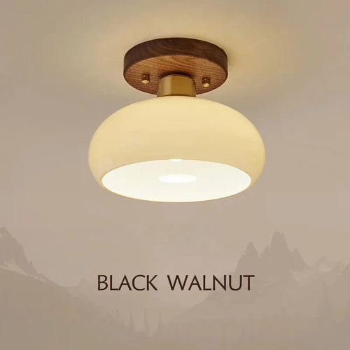 Grass Led Ceiling Lamp for Hallway, Entryway, Kitchen, Foyer Living Room Indoor Lighting white lamps home Decor Lustres fixture - vue 2 sur 7