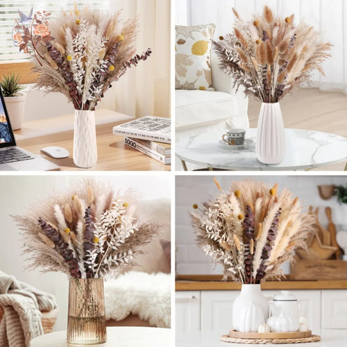 bouquet dherbe de pampa naturelle pour décoration et cadeaux - vue 7 sur 18