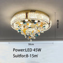 48170876666202