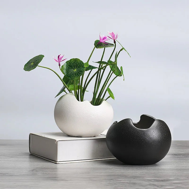 pot de fleurs hydroponique rétro en céramique pour plantes succulentes - vue 1 sur 9