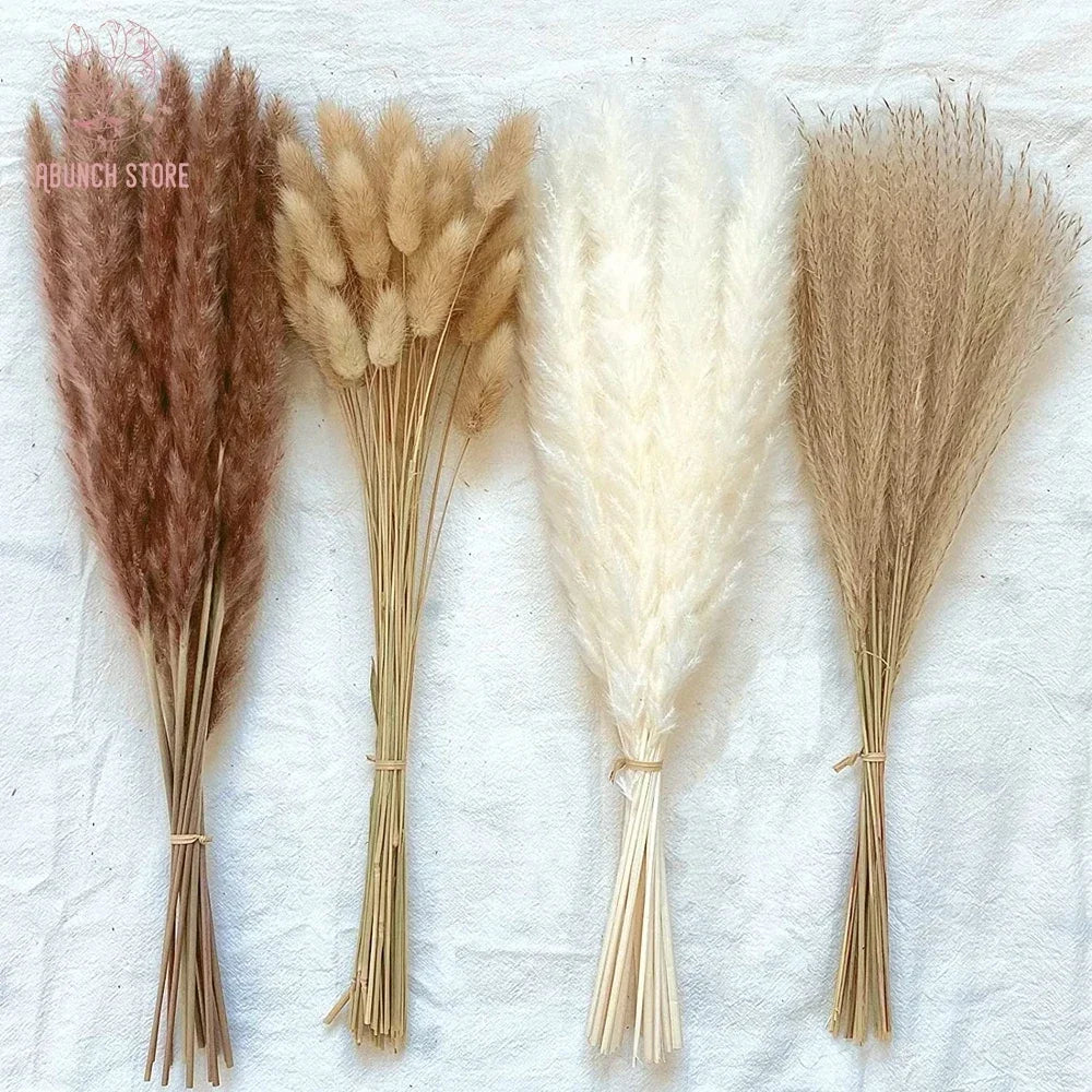 lot de 100 bouquets dherbe de pampa pour décoration bohème mariage - vue 2 sur 13