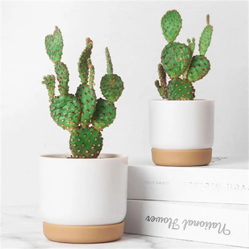 pot de fleurs automatique double couche pour plantes succulentes - vue 2 sur 8