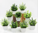 plantes artificielles en pot eucalyptus et romarin décoratifs