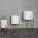 etagère à plantes dorée support à fleurs amovible et polyvalent