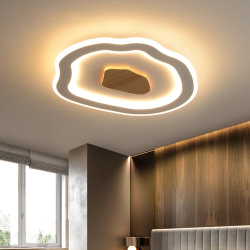 plafonniers nordiques modernes simples à led créatifs - vue 3 sur 12