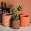 pot de fleurs en ciment style nordique avec plateau décoratif
