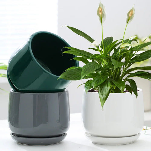 pot de fleurs en céramique créatif pour décoration intérieure et extérieure - vue 3 sur 9