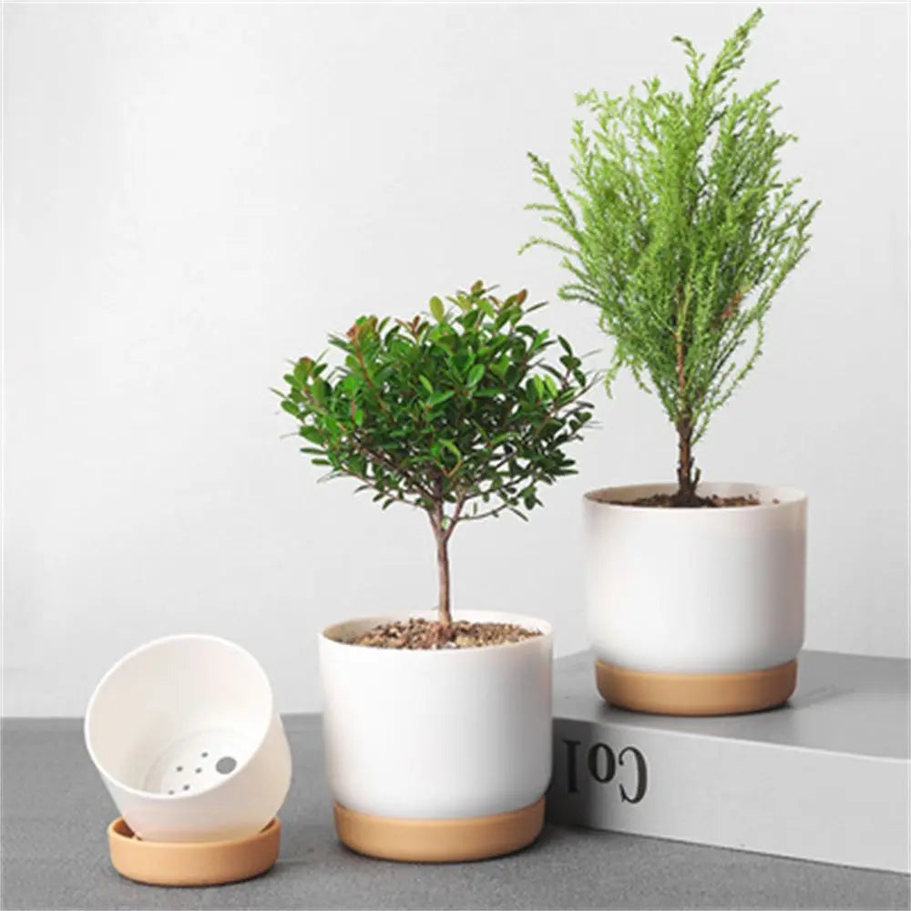 pot de fleurs automatique double couche pour plantes succulentes - vue 3 sur 8
