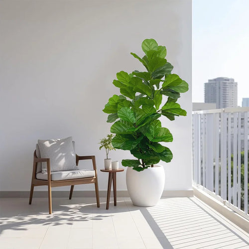 arbre tropical artificiel ficus pour décoration intérieure et extérieure - vue 3 sur 8