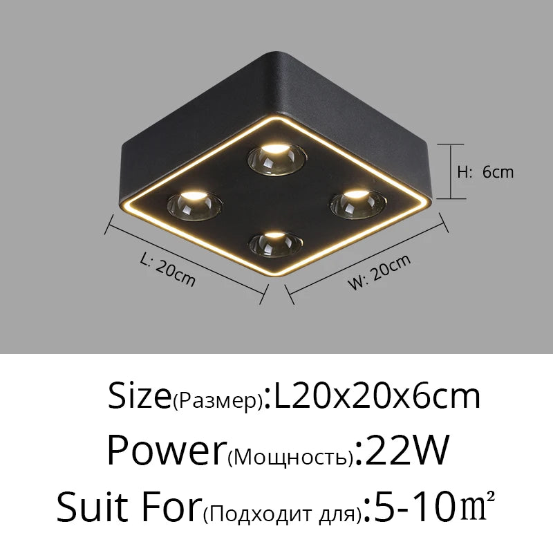 47662620016986|47662620049754