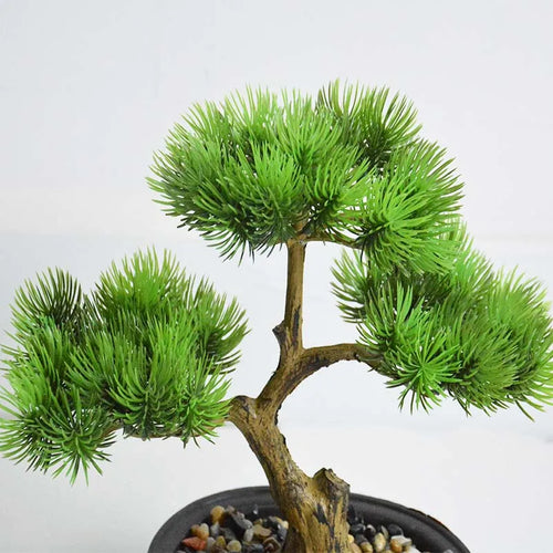 plante en pot de style chinois pour décoration intérieure - vue 3 sur 6