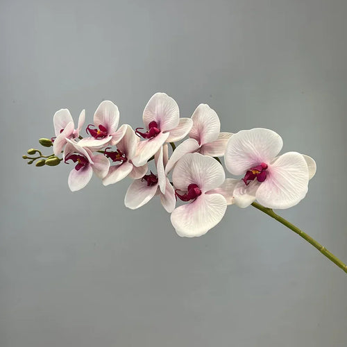 fleurs artificielles orchidée papillon en coton et silicone décoratives - vue 11 sur 12