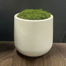 pot décoratif nordique en plastique et céramique pour intérieur