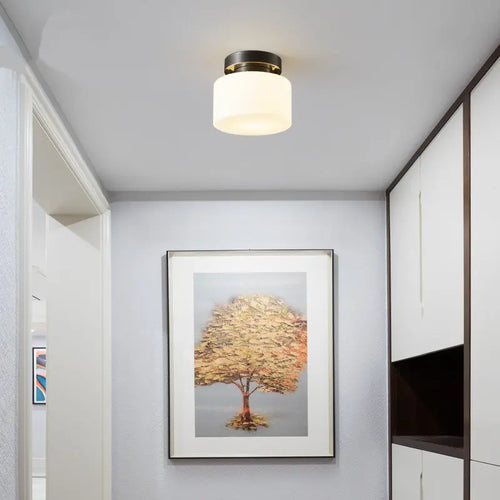 plafonnier design moderne pour intérieur élégant et fonctionnel - vue 5 sur 6