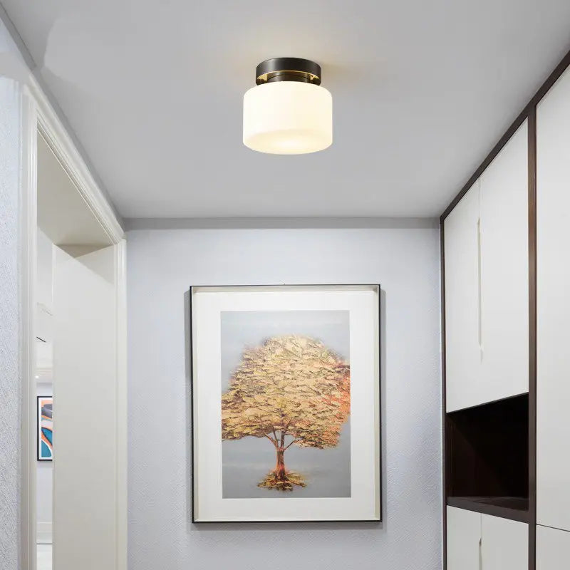 plafonnier design moderne pour intérieur élégant et fonctionnel - vue 4 sur 6
