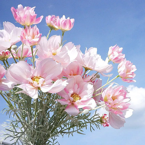 fleurs artificielles luxueuses pour mariage grandes branches de Galsang - vue 2 sur 13