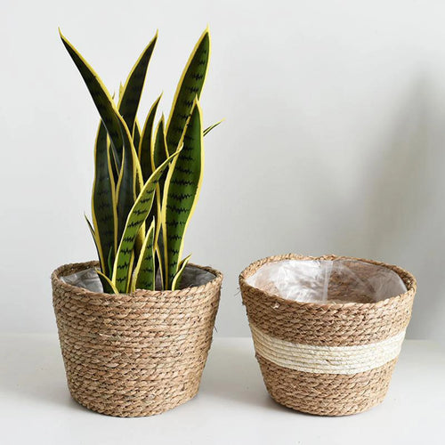 doublures en rotin pour paniers à plantes et décoration jardin - vue 2 sur 12