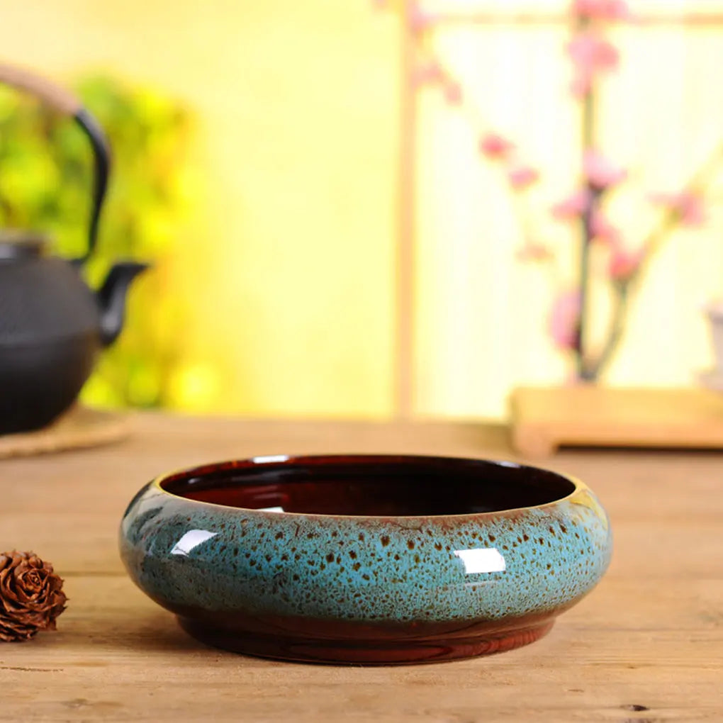 pots hydroponiques ronds pour plantes succulentes jardin intérieur - vue 10 sur 11