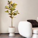 plantes artificielles grandes tailles tropicales ficus codiaeum décor intérieur