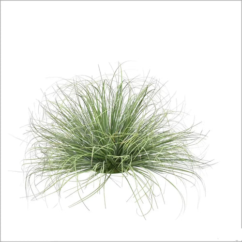 plantes artificielles en touffe pour décorations commerciales - vue 2 sur 8