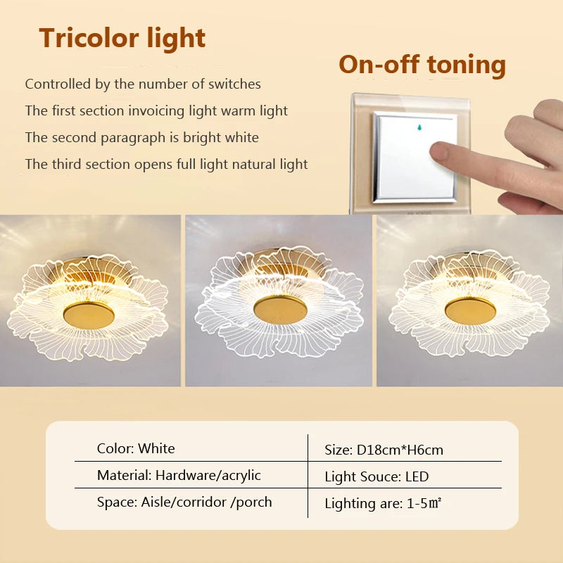 plafonnier led moderne en acrylique pour décoration intérieure