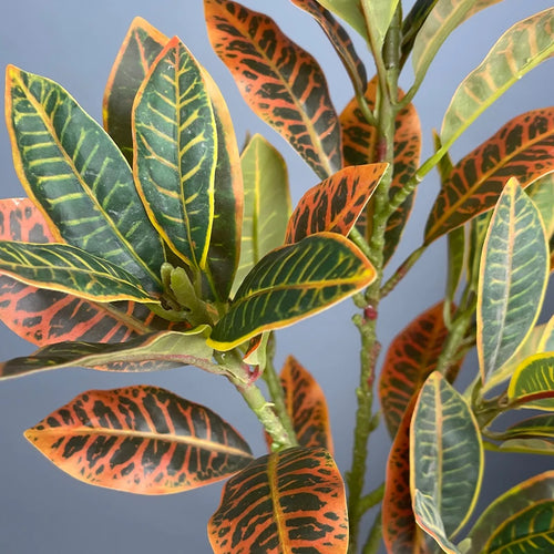branche de plante tropicale artificielle pour décoration de jardin - vue 4 sur 8