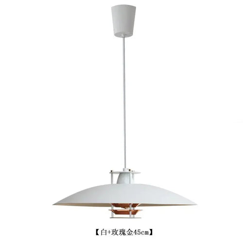 Nordic Circular Pendant Light, Modern Dining Room, Bedroom, Bar Counter, LED Pendant Light, White Warm Light 45cm Light - vue 9 sur 8