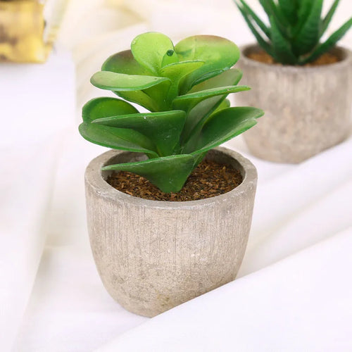 plantes succulentes artificielles pour décoration intérieure moderne - vue 12 sur 13