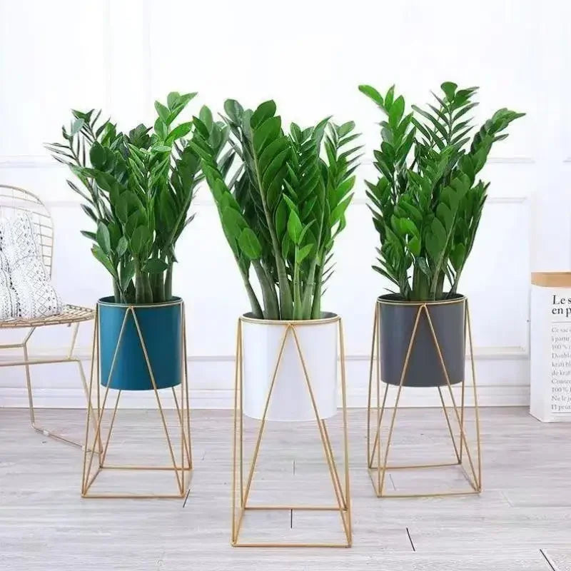 support en fer forgé pour plantes et fleurs d'intérieur élégant - vue 6 sur 18